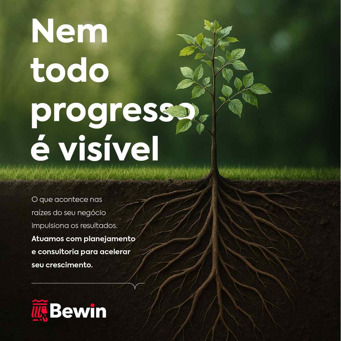 Bewin Consultoria 300x300px