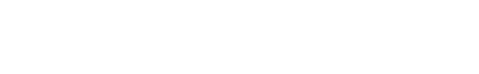 Bewin 970x150px